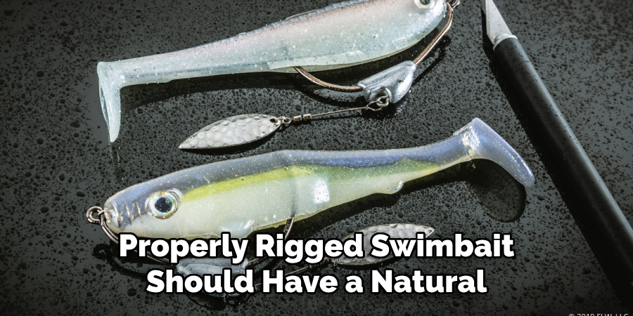 Properly Rigged Swimbait Should Have a Natural