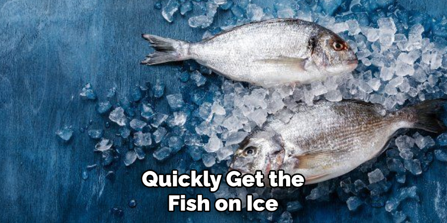 Quickly Get the Fish on Ice