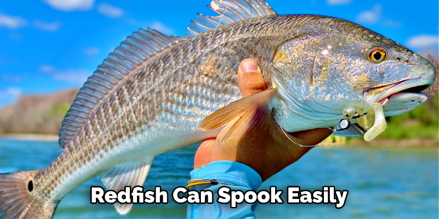  Redfish Can Spook Easily