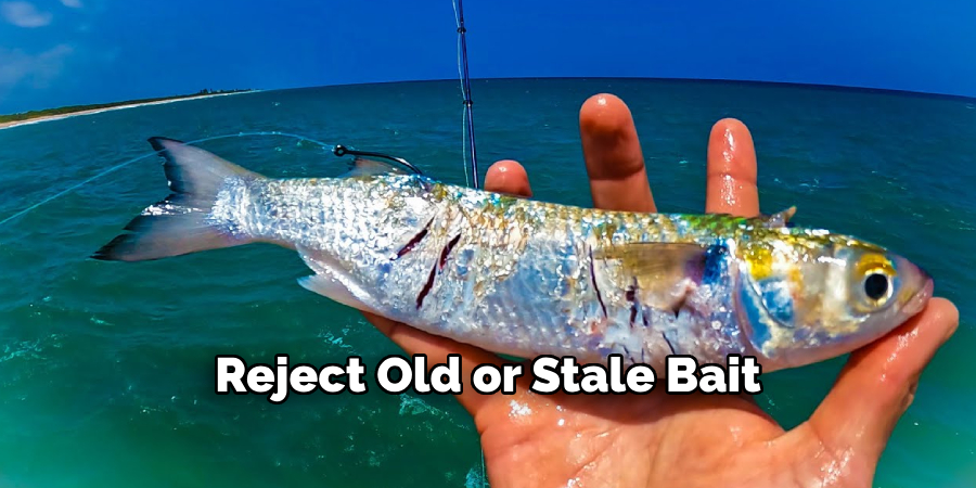 Reject Old or Stale Bait