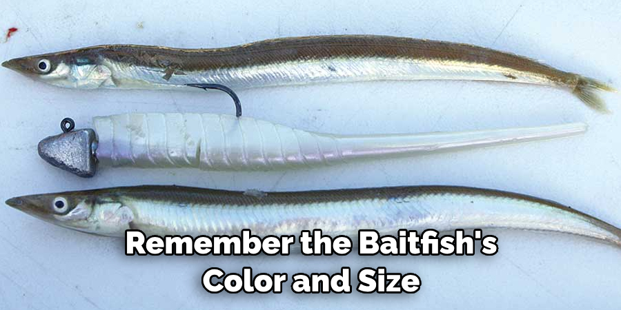 Remember the Baitfish's Color and Size