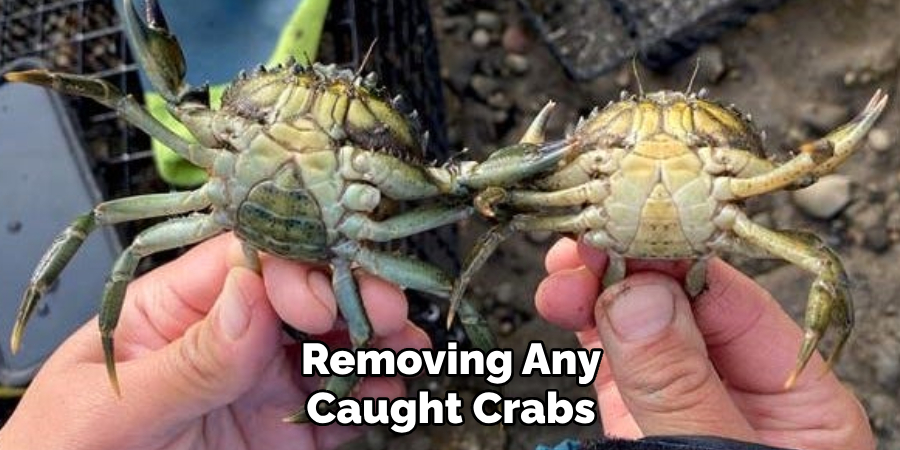 Removing Any Caught Crabs