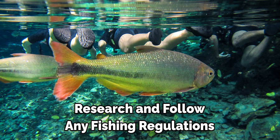 Research and Follow Any Fishing Regulations