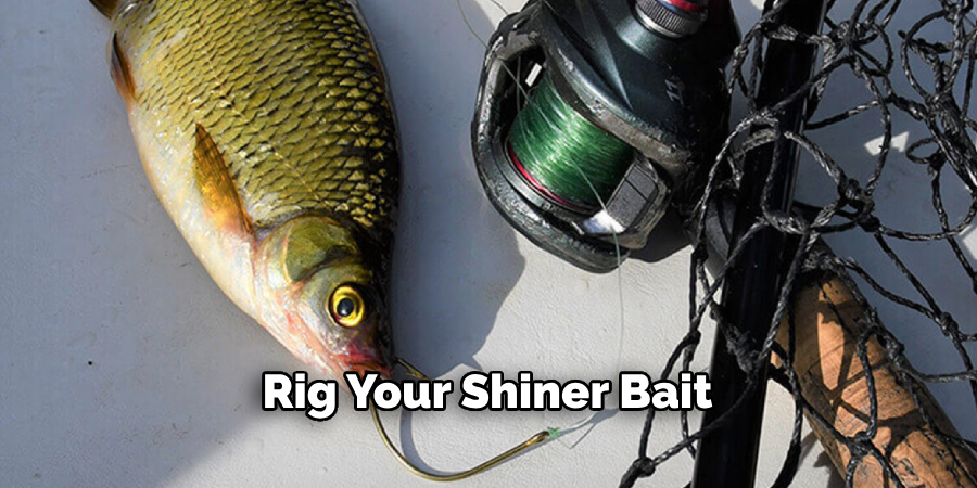 Rig Your Shiner Bait