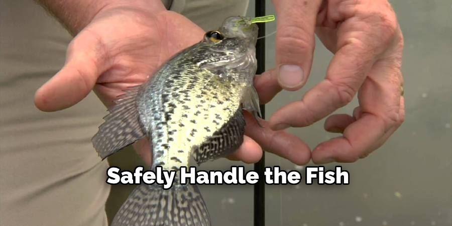 Safely Handle the Fish