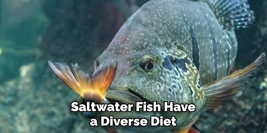 Saltwater Fish Have a Diverse Diet