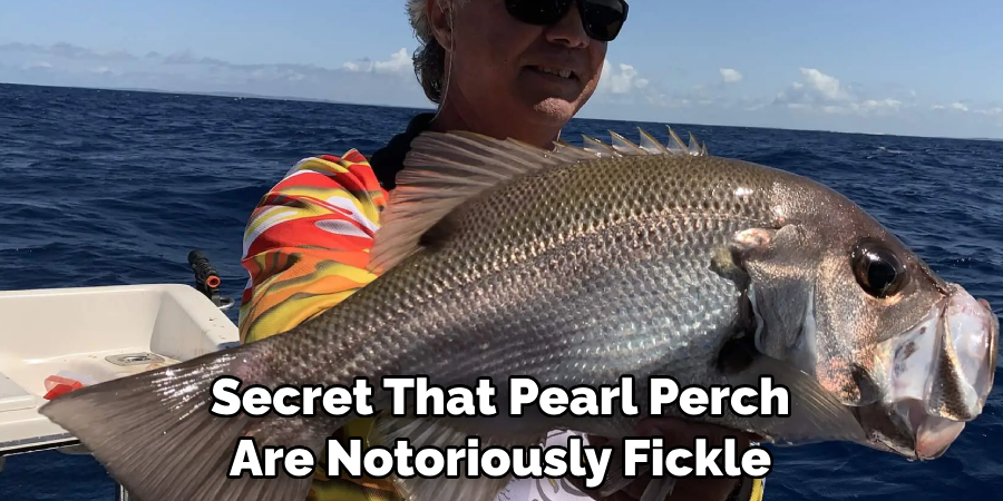 Secret That Pearl Perch Are Notoriously Fickle