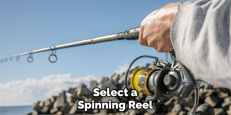 Select a Spinning Reel