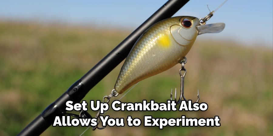 Set Up Crankbait Also Allows You to Experiment