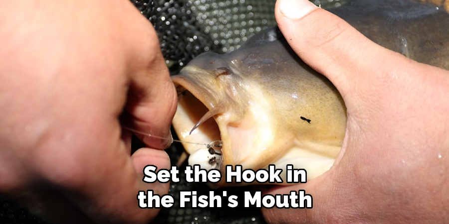 Set the Hook in the Fish's Mouth