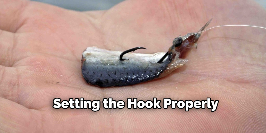 Setting the Hook Properly