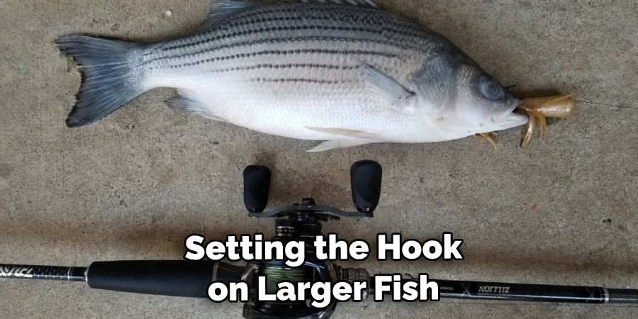  Setting the Hook on Larger Fish