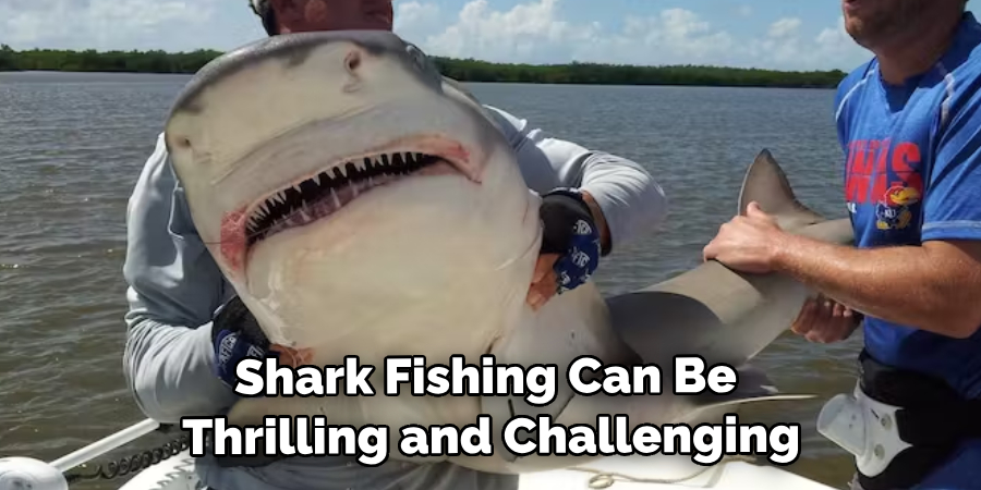 Shark Fishing Can Be Thrilling and Challenging