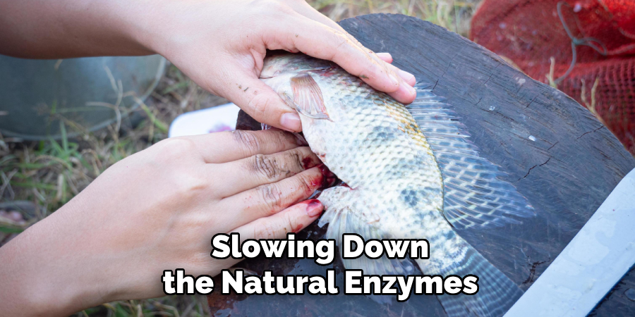 Slowing Down the Natural Enzymes