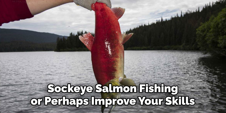 Sockeye Salmon Fishing or Perhaps Improve Your Skills