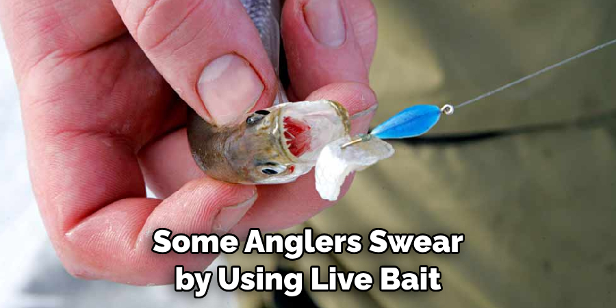 Some Anglers Swear by Using Live Bait