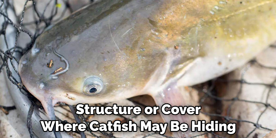 Structure or Cover Where Catfish May Be Hiding
