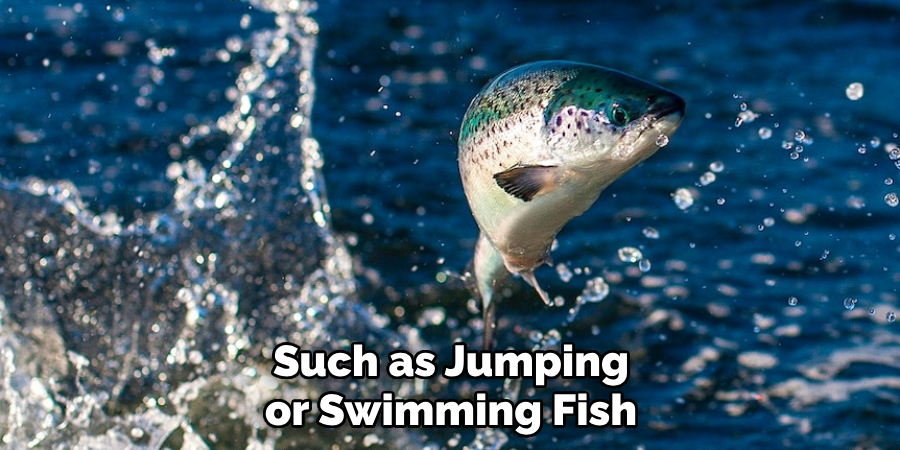 Such as Jumping or Swimming Fish