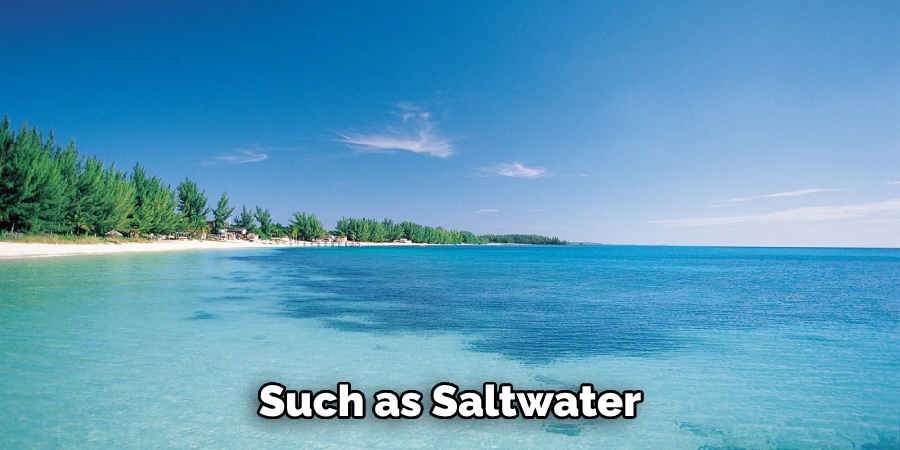 Such as Saltwater