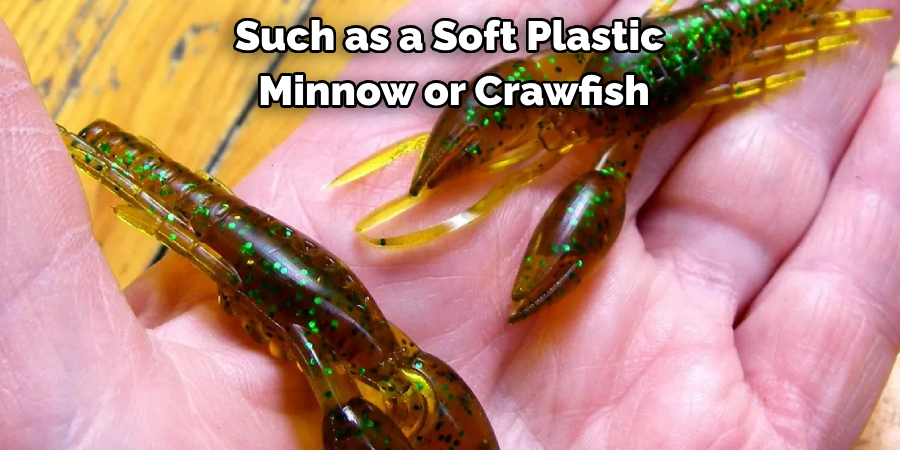 Such as a Soft Plastic 
Minnow or Crawfish