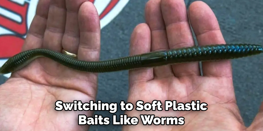 Switching to Soft Plastic Baits Like Worms