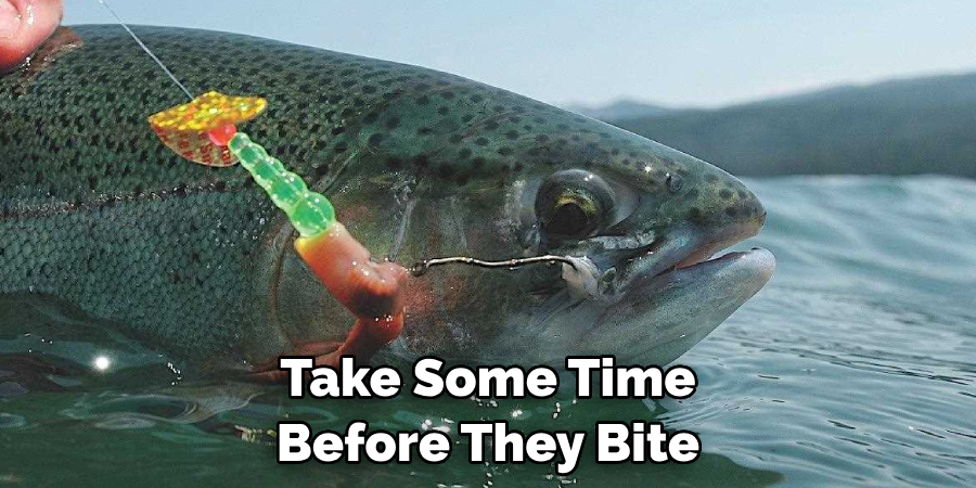 Take Some Time Before They Bite