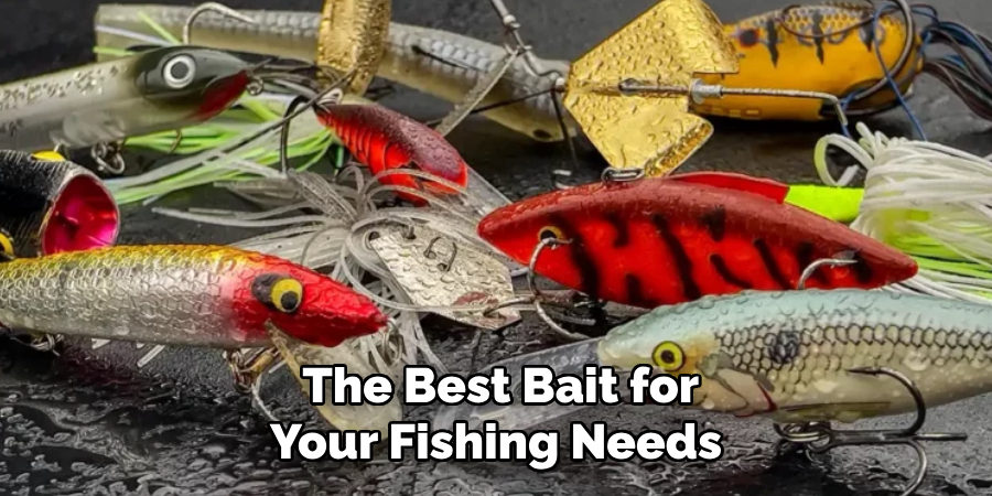  The Best Bait for Your Fishing Needs