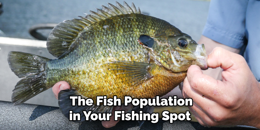  The Fish Population in Your Fishing Spot