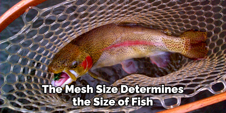 The Mesh Size Determines the Size of Fish