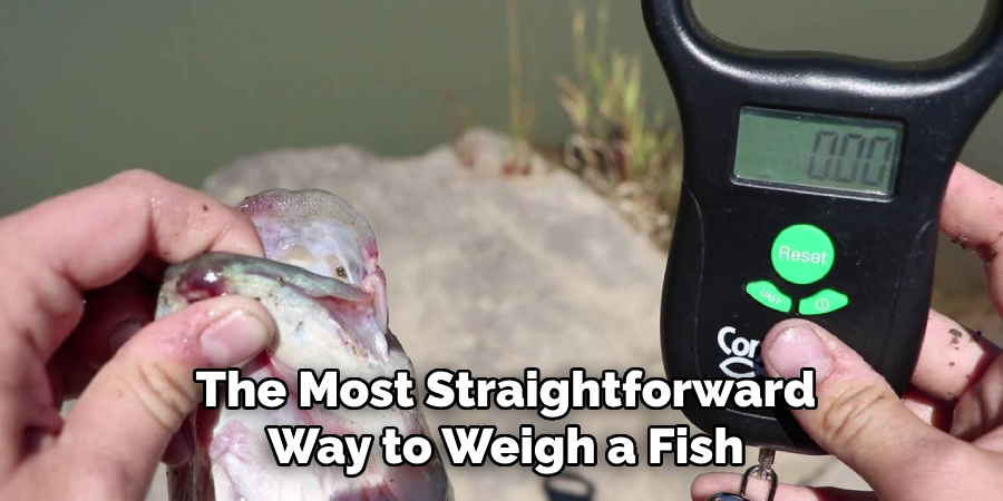 The Most Straightforward Way to Weigh a Fish