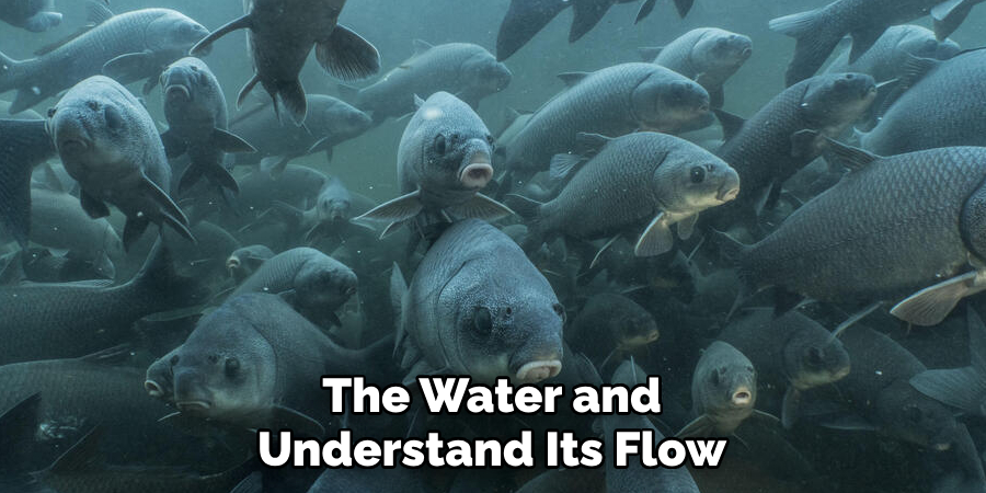 The Water and Understand Its Flow