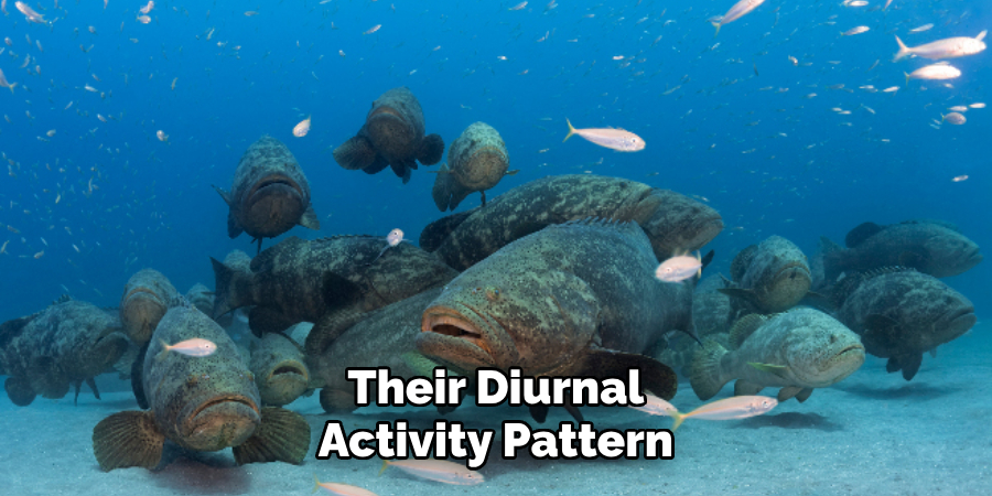 Their Diurnal Activity Pattern