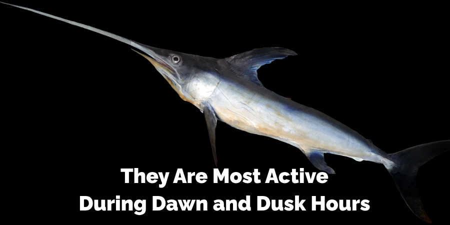 They Are Most Active During Dawn and Dusk Hours