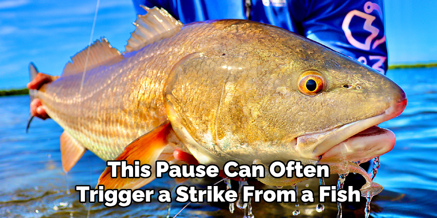 This Pause Can Often Trigger a Strike From a Fish