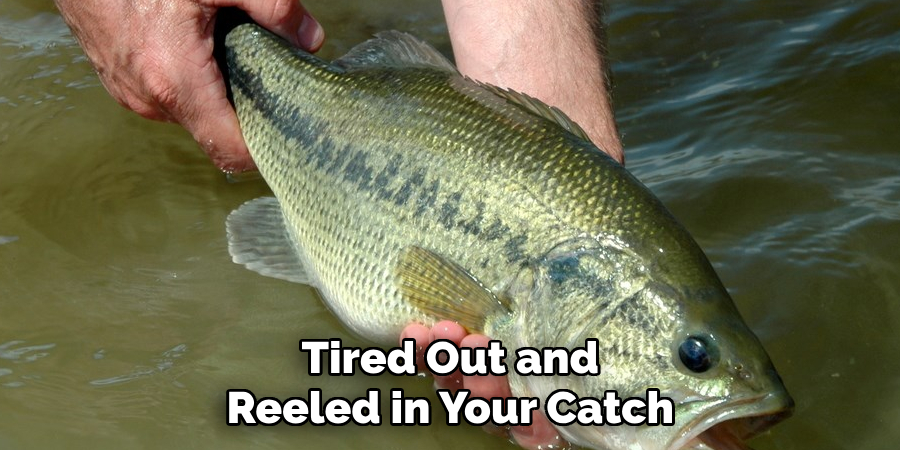 Tired Out and Reeled in Your Catch