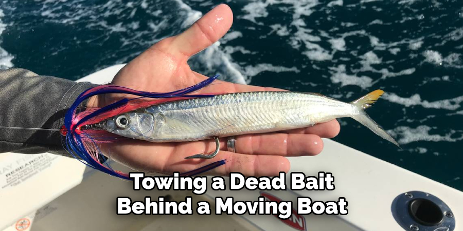 Towing a Dead Bait Behind a Moving Boat