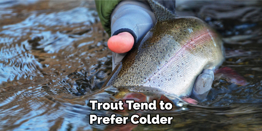 Trout Tend to Prefer Colder