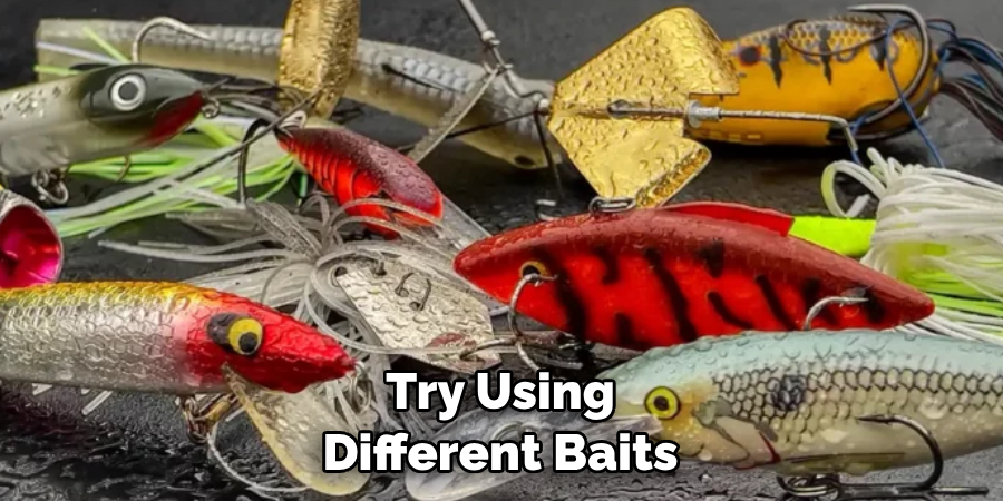 Try Using Different Baits