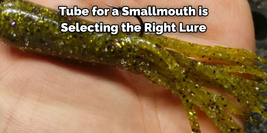 Tube for a Smallmouth is Selecting the Right Lure