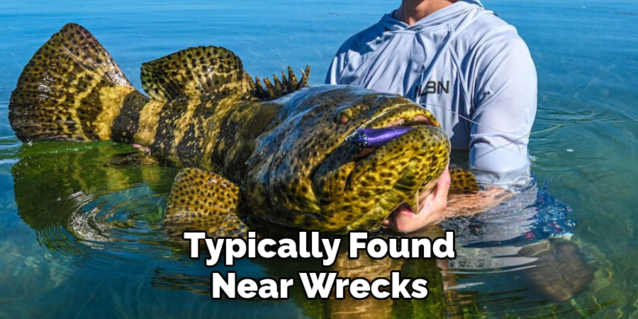 Typically Found Near Wrecks