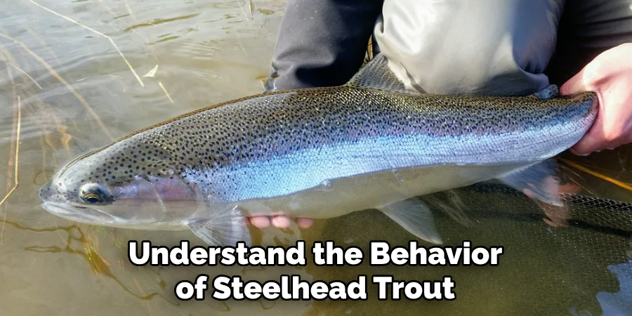 Understand the Behavior of Steelhead Trout