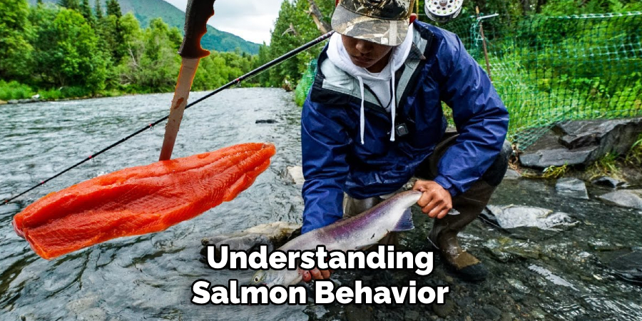 Understanding Salmon Behavior