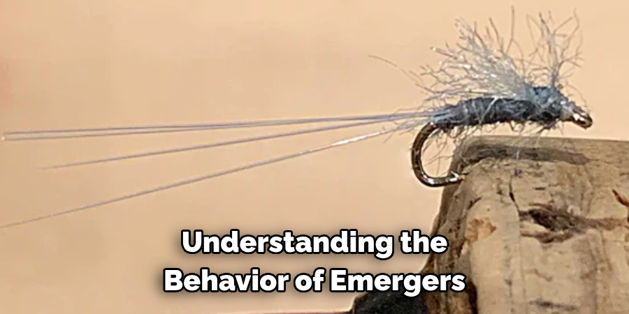 Understanding the 
Behavior of Emergers