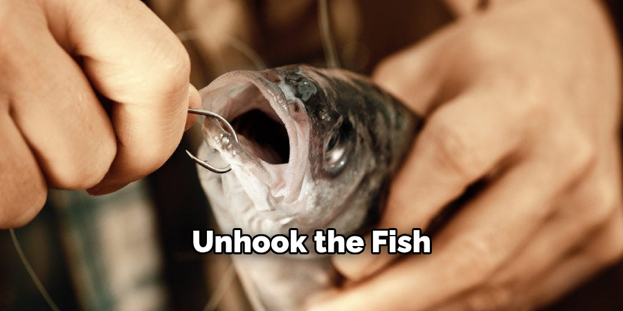 Unhook the Fish