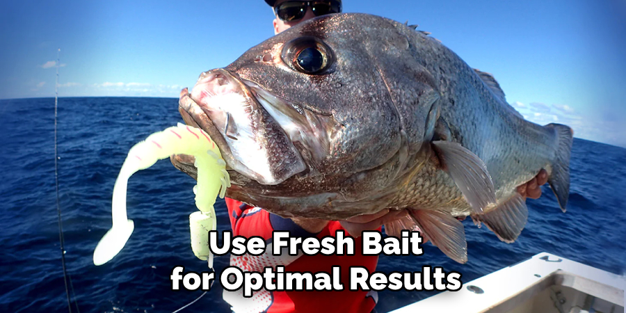 Use Fresh Bait for Optimal Results