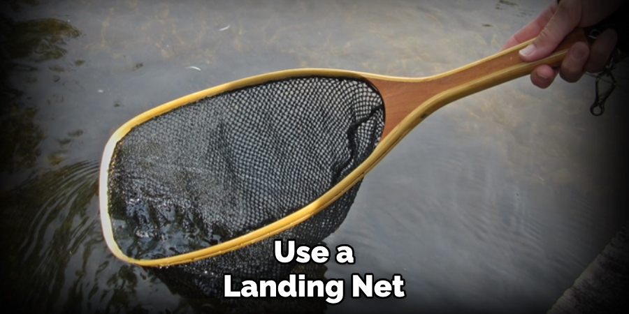 Use a Landing Net