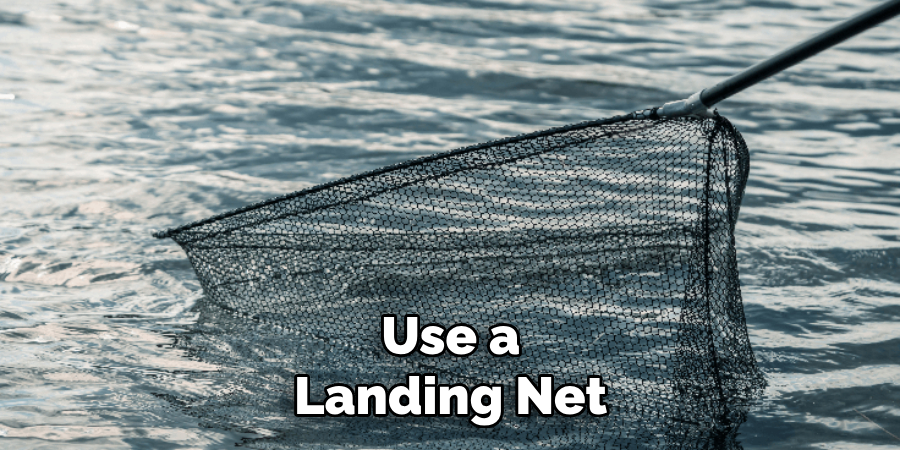 Use a Landing Net