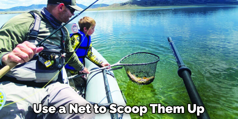 Use a Net to Scoop Them Up
