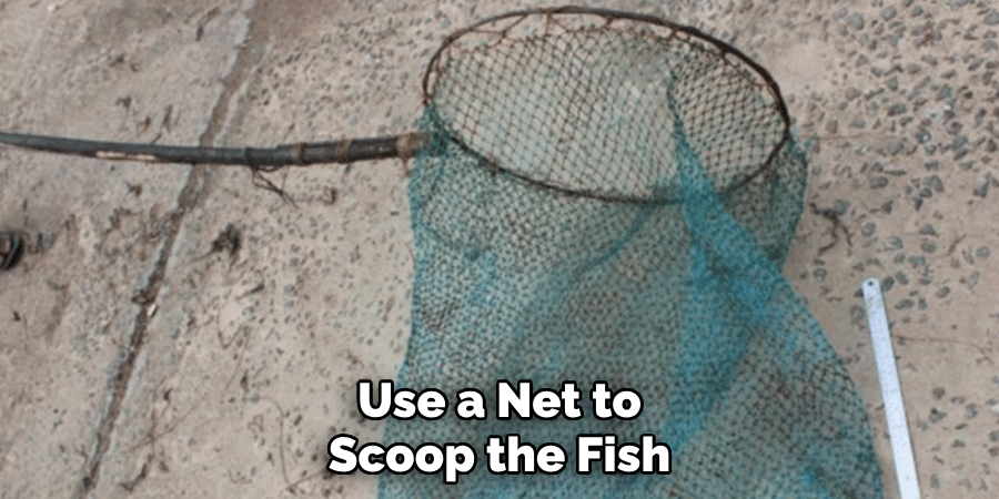 Use a Net to Scoop the Fish