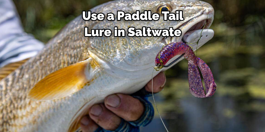 Use a Paddle Tail 
Lure in Saltwater